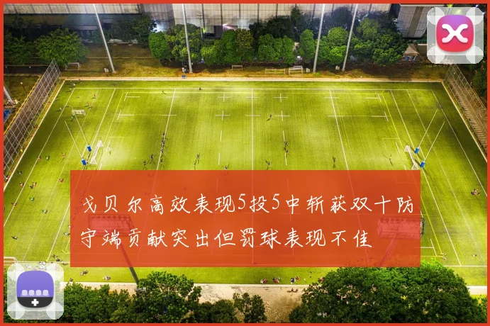 戈贝尔高效表现5投5中斩获双十防守端贡献突出但罚球表现不佳