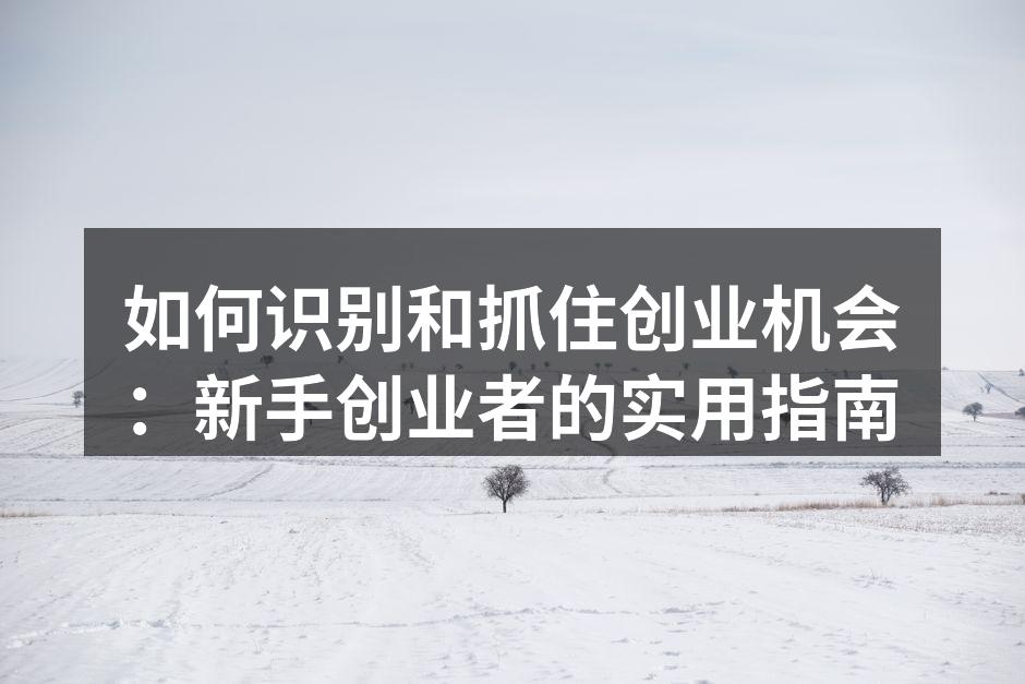 如何识别和抓住创业机会：新手创业者的实用指南
